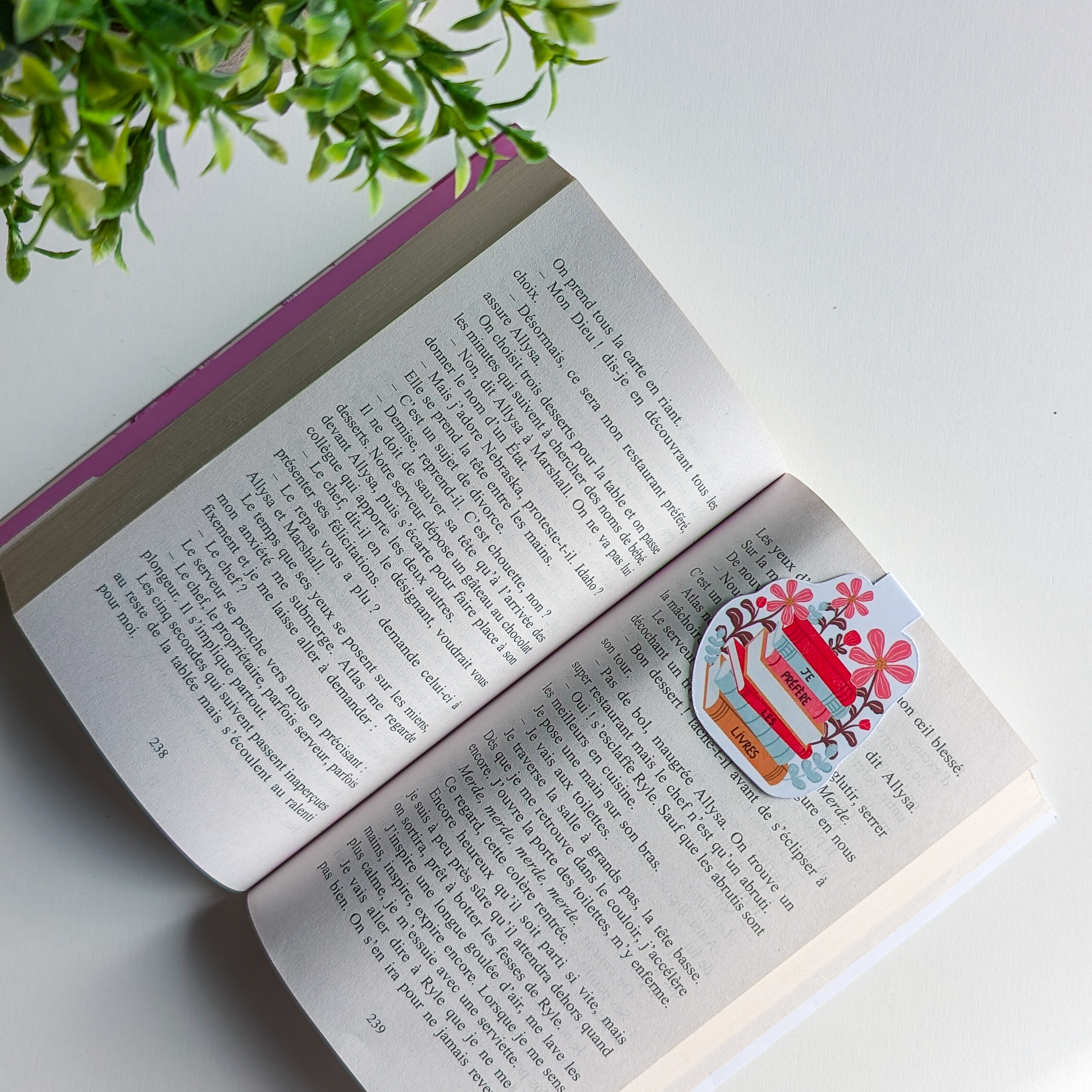 BOX littéraire "Le coin lecture" – Image 10